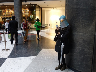 Illustration for article titled Japan Is Good at Pigeon Masks